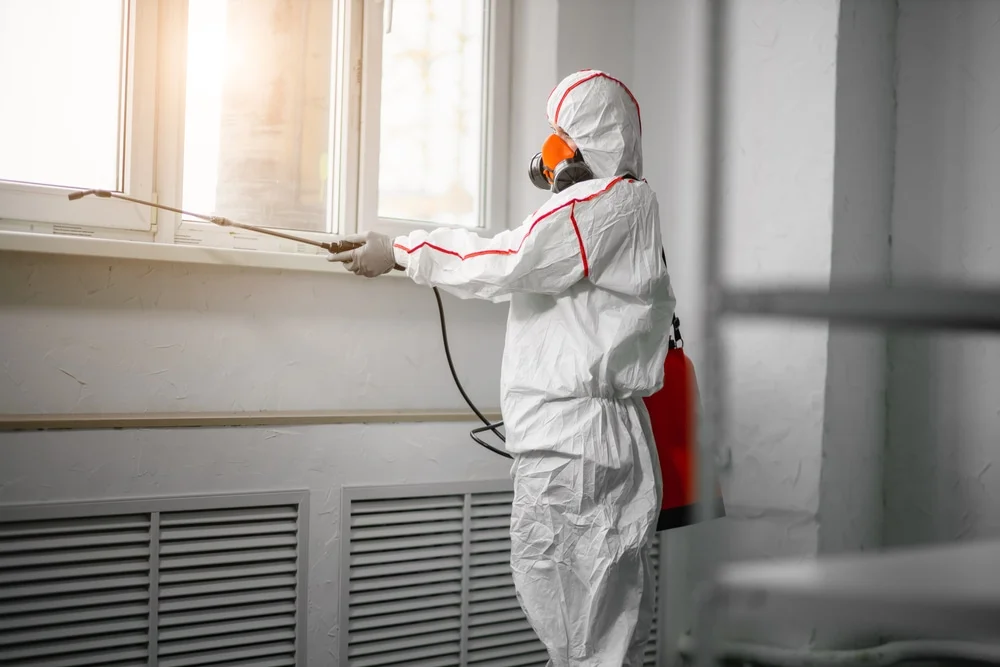 Professional mold remediation services in Liberty, IN